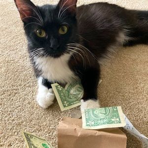 Please Make a Offer!!!!!